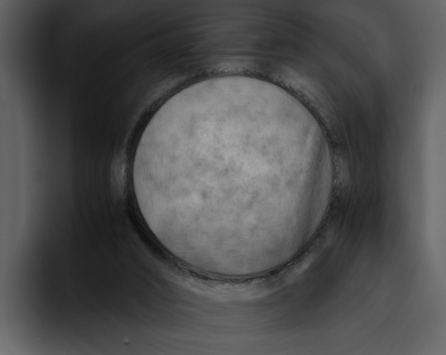 X0000095690016200801291226