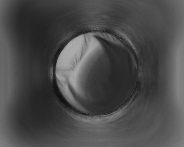 X0000095690019200801291226