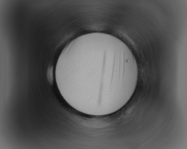 X0000095690020200801291226