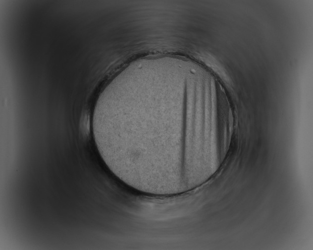 X0000095690021200801291226