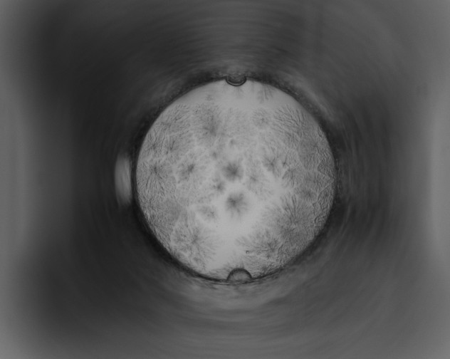 X0000095690022200801291226