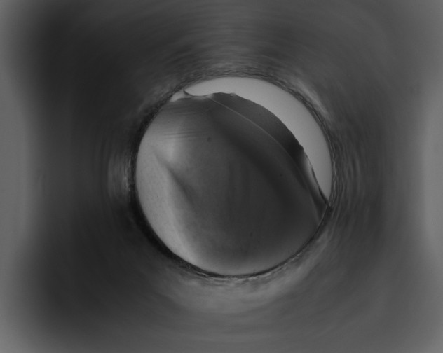 X0000095690023200801291226