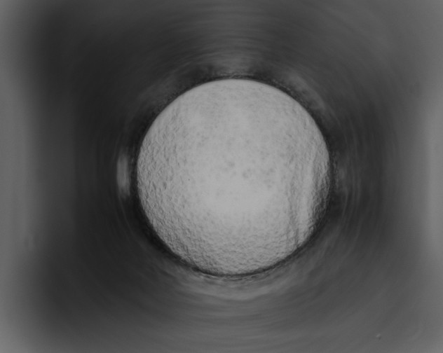 X0000095690026200801291226