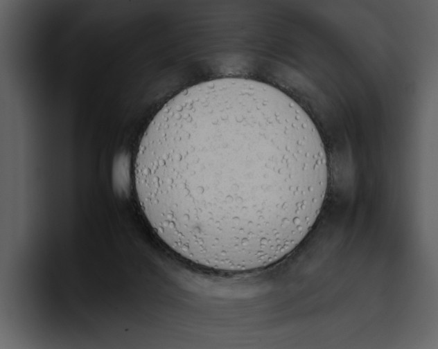 X0000095690028200801291226