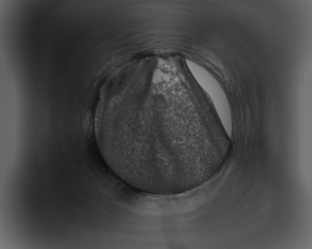 X0000095690029200801291226