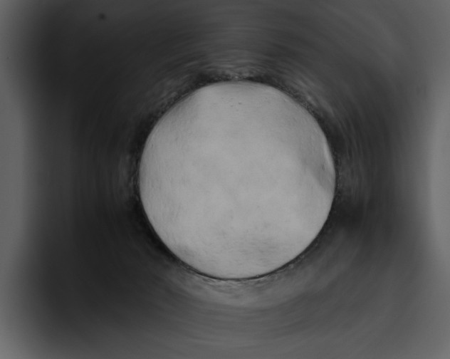 X0000095690030200801291226