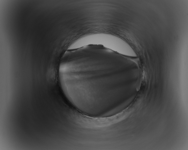 X0000095690031200801291226