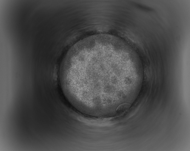 X0000095690032200801291226