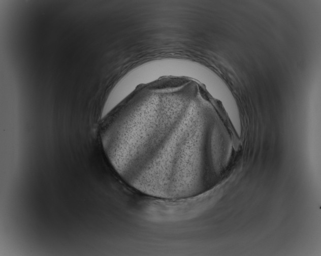 X0000095690033200801291226