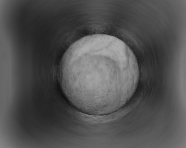 X0000095690034200801291226