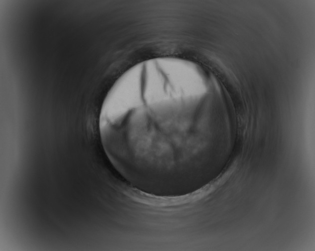 X0000095690035200801291226