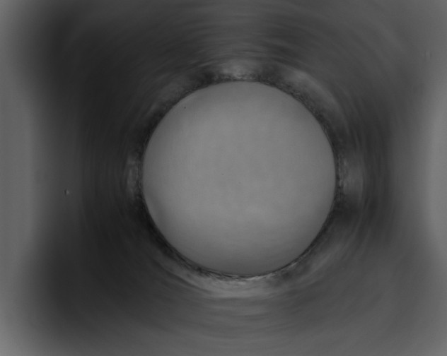 X0000095690036200801291226