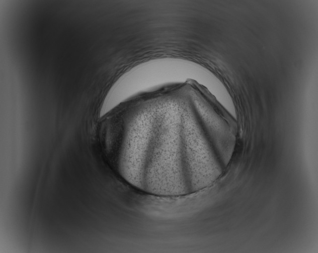 X0000095690037200801291226