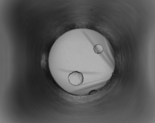 X0000095690038200801291226