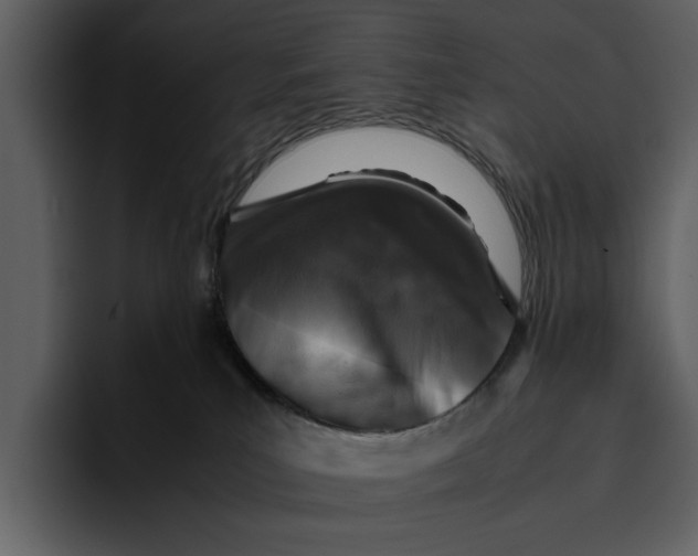 X0000095690039200801291226