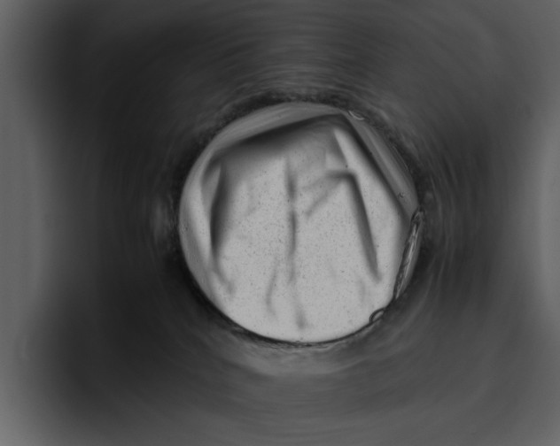 X0000095690040200801291226