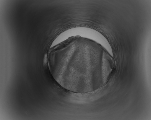 X0000095690041200801291226