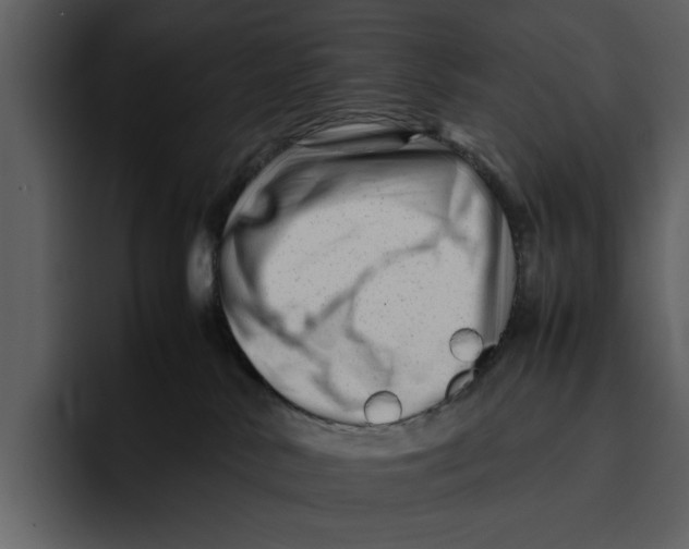 X0000095690042200801291226