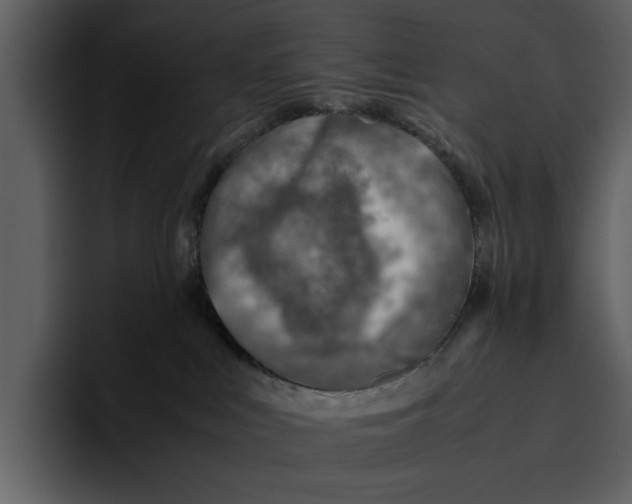 X0000095690043200801291226