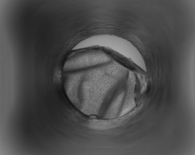 X0000095690045200801291226