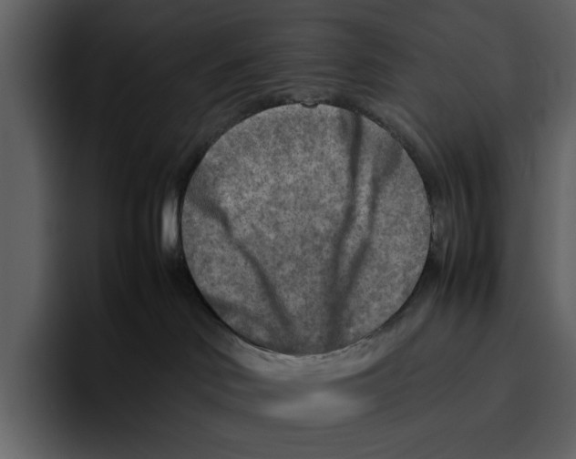 X0000095690046200801291226