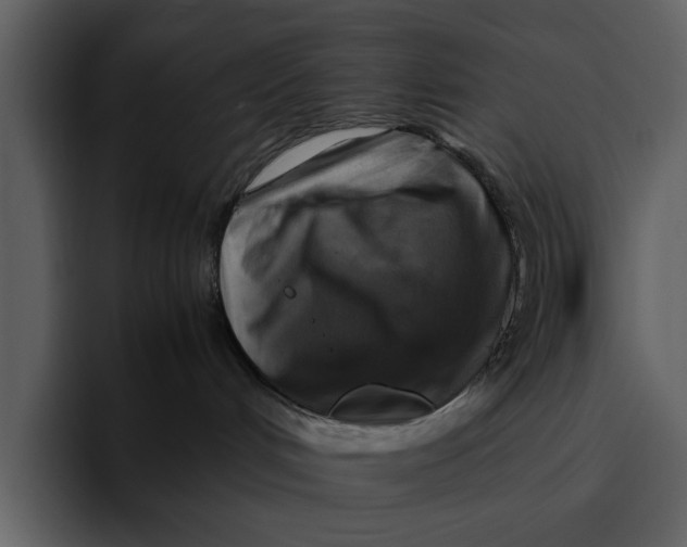 X0000095690048200801291226