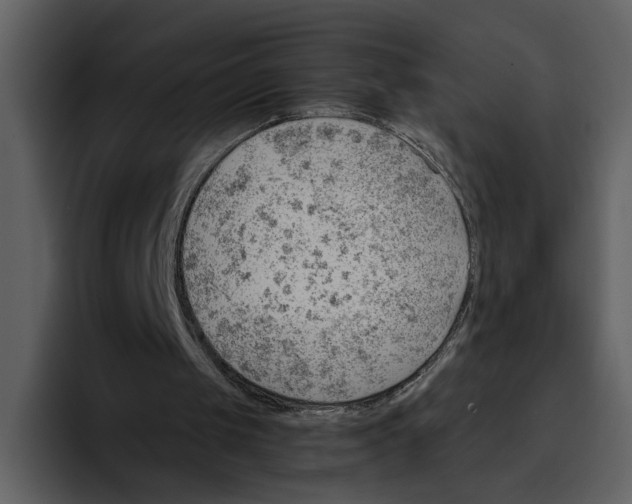 X0000095690049200801291225