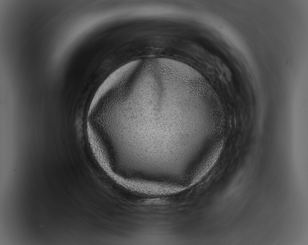 X0000095690050200801291225