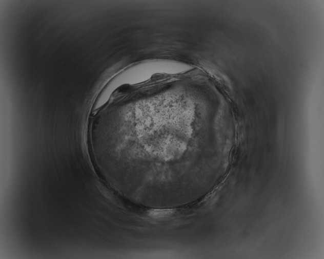 X0000095690051200801291225