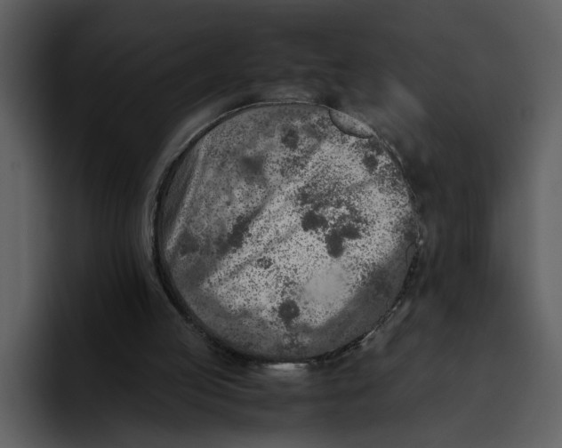 X0000095690053200801291225