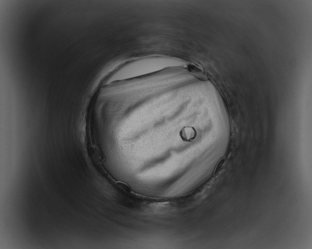 X0000095690054200801291225