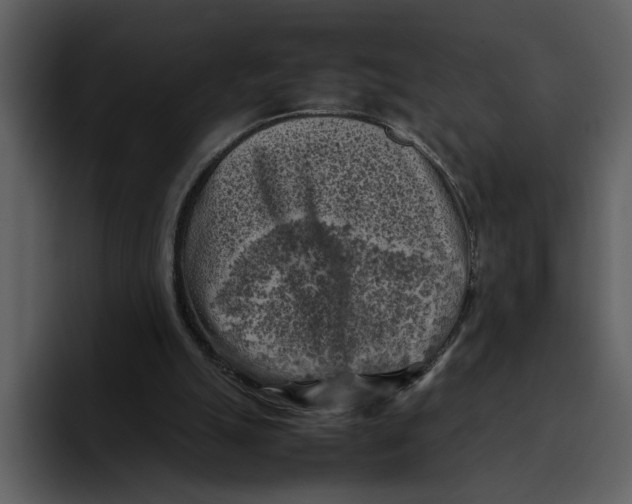 X0000095690055200801291225