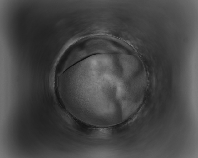 X0000095690056200801291225