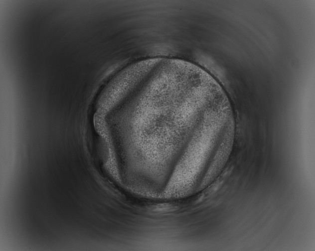 X0000095690058200801291225