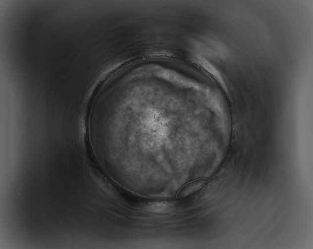 X0000095690059200801291225