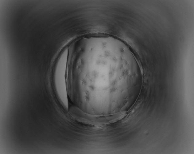 X0000095690060200801291225