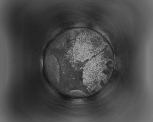 X0000095690061200801291225