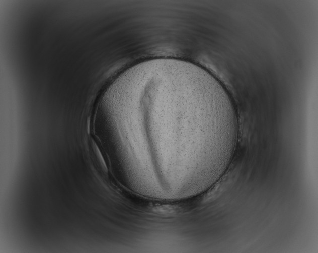 X0000095690062200801291225