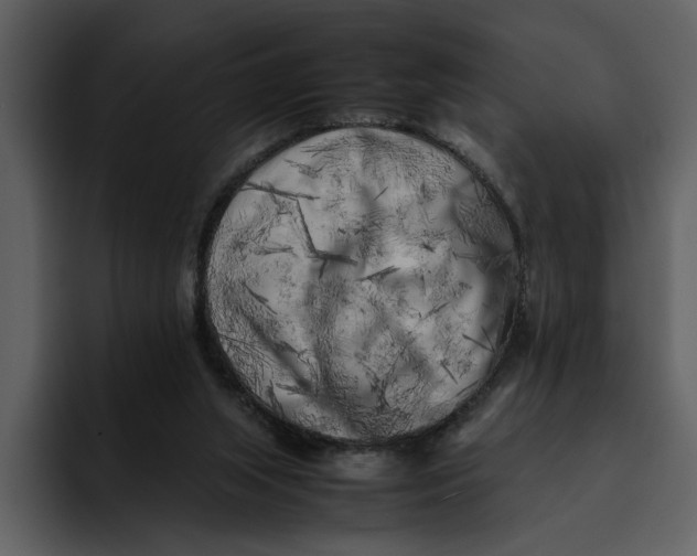 X0000095690063200801291225