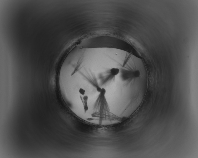 X0000095690064200801291225