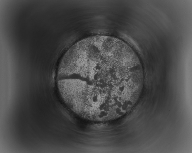 X0000095690065200801291225