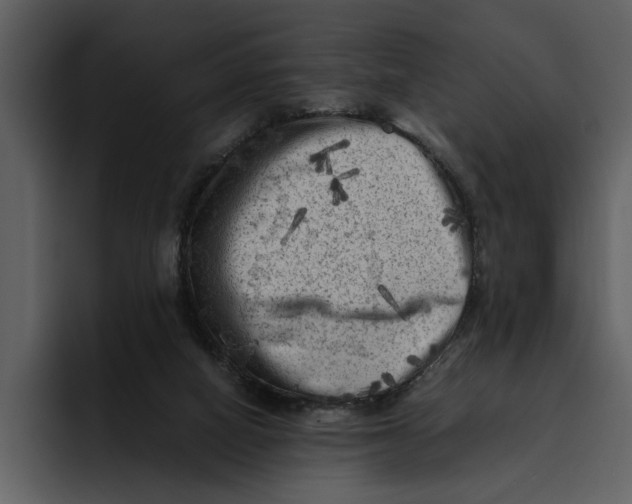 X0000095690066200801291225