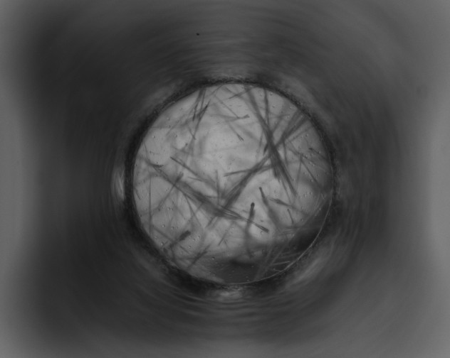 X0000095690068200801291225