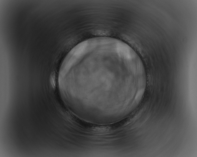 X0000095690069200801291225