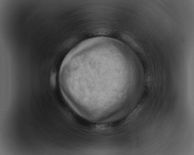 X0000095690070200801291225