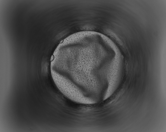 X0000095690071200801291225