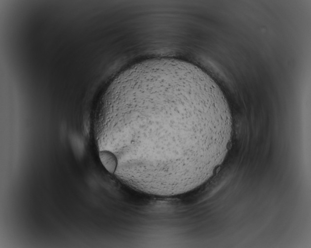 X0000095690072200801291225