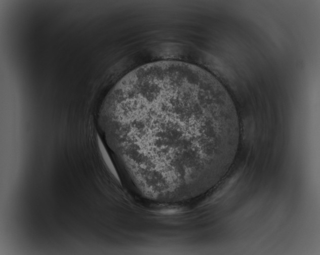 X0000095690073200801291225