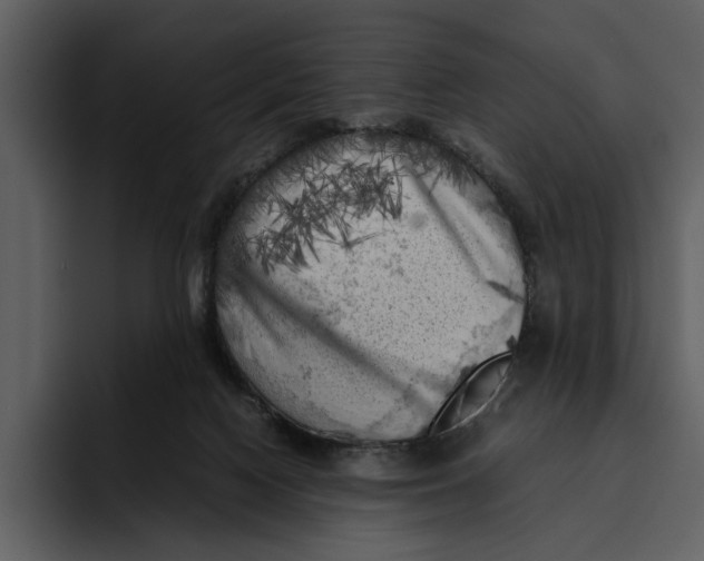 X0000095690074200801291225