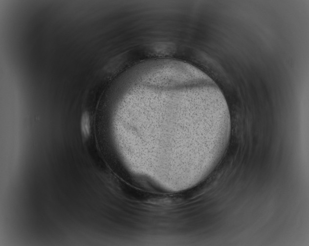 X0000095690075200801291225